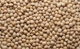 大商所调整豆粕等品种部分期货合约交易保证金