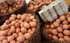 鸡蛋期货完成上市以来最大量交割