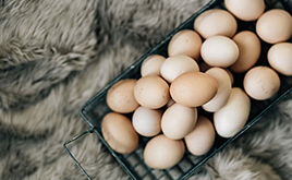 鸡蛋期货新规降低交割成本 保障交割顺畅